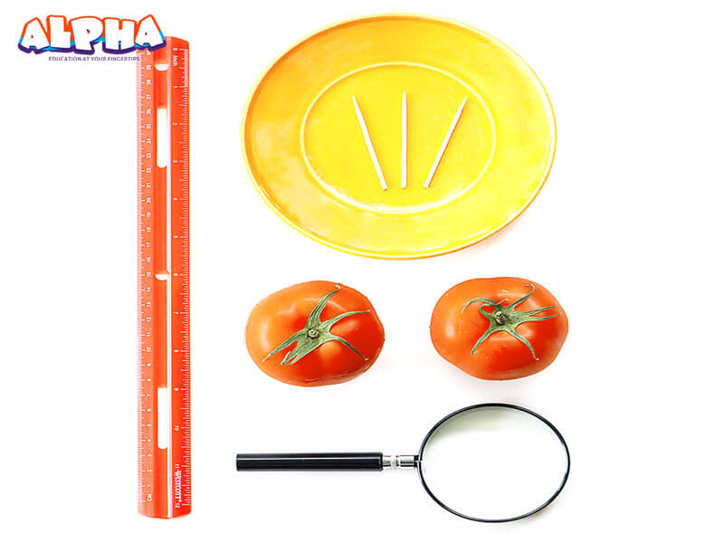 SkinShield-Materials-science ex