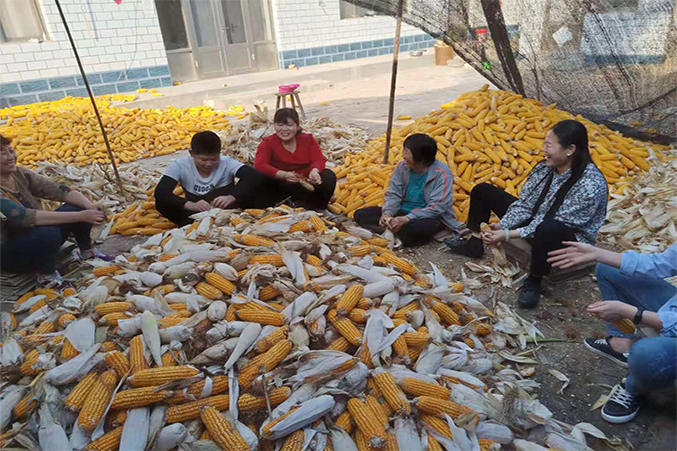 高一5班周久赫