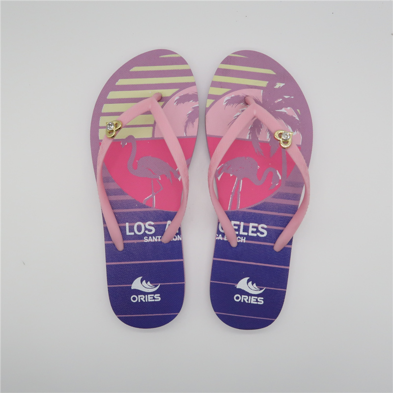 AH-9P110 Los Angeles Flamingo Printing Beach Summer Flip Flops imperméables