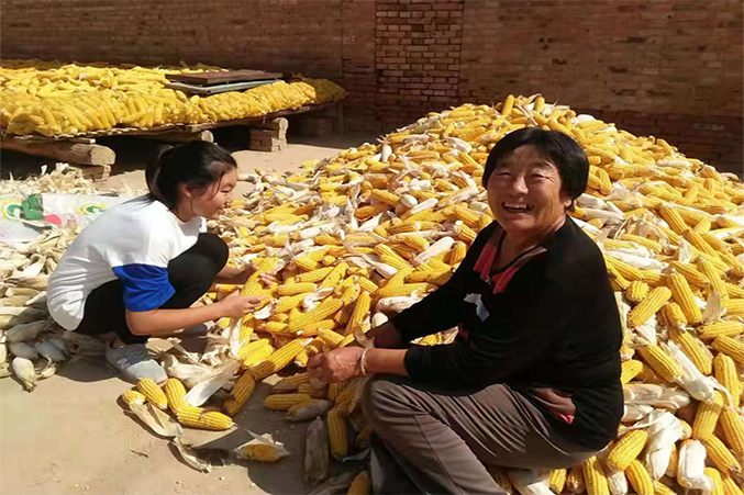 2班何佳怡