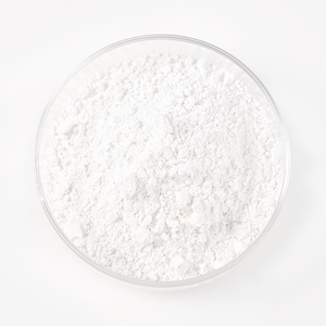 Silkworm Chrysalis Protein