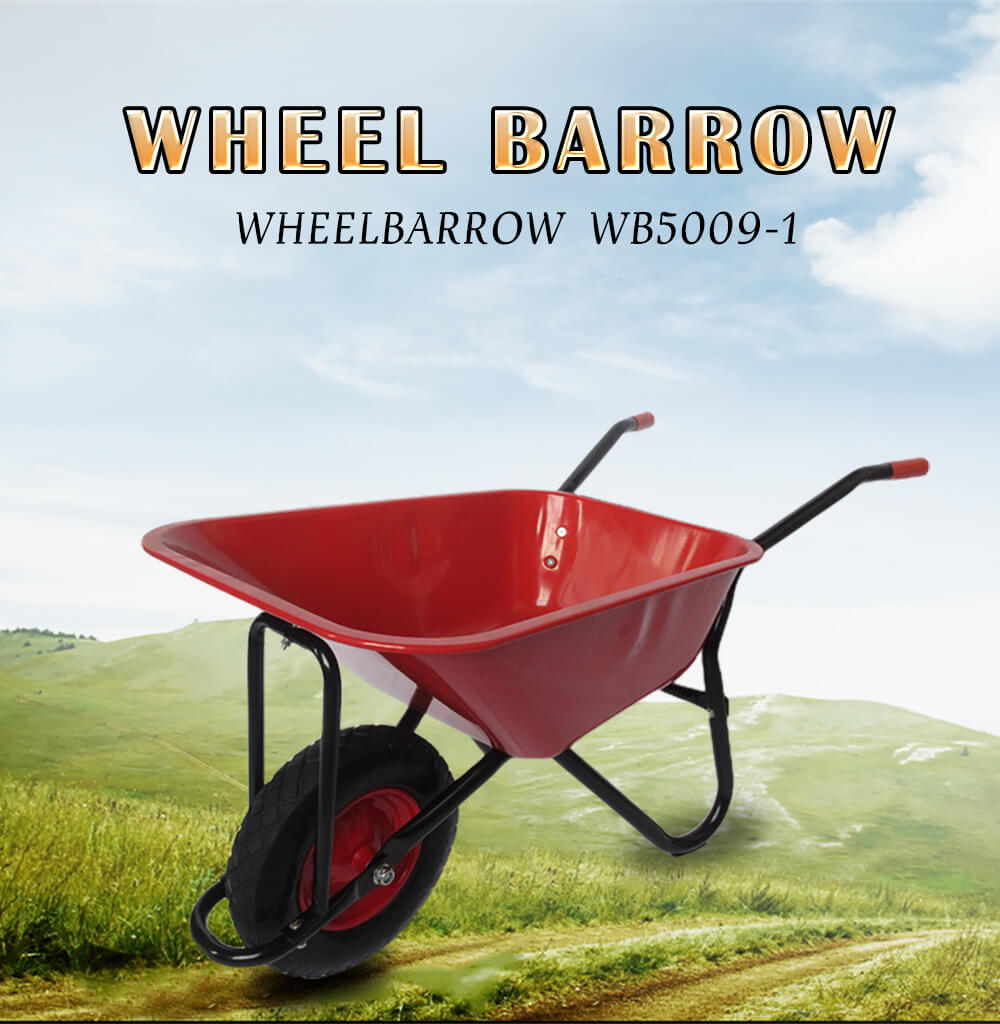 Wheelbarrow Carretilla