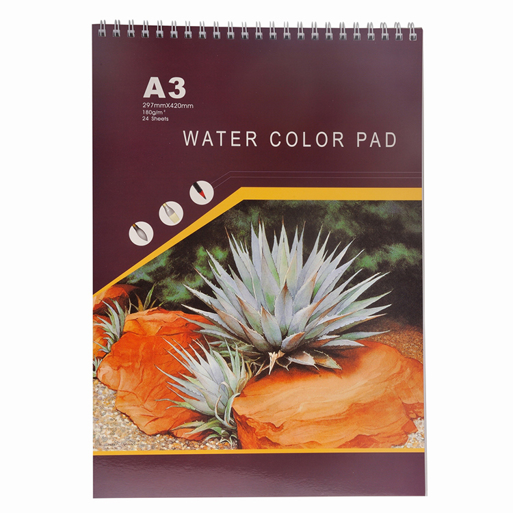 Watercolour Pad 180gsm 24 Sheets Wire Bound Colored Cover A3 A4 A5 8K 16K 9x12''