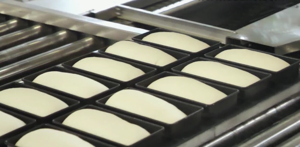 the fermentation equipment the fermentation equipment