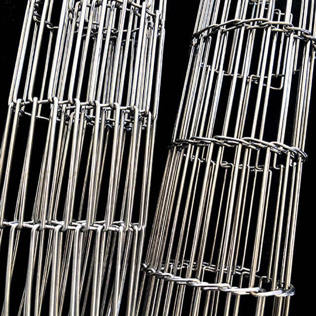 Wire Mesh Belt