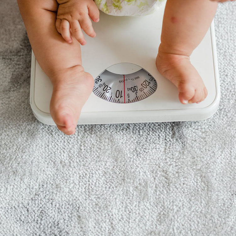 10 Wichtige Faktoren bei Verwendung der digitalen Gewichtsanzeige