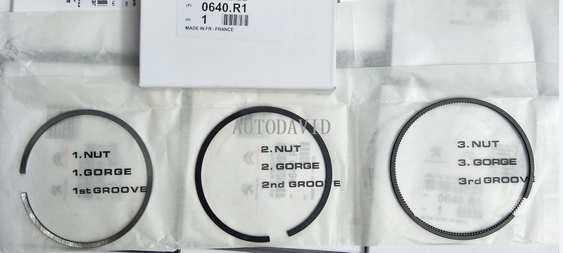 حلقة المكبس لبيجو 206 207 307 سيتروين C2 C3 1.4L 75 مللي متر محرك TU3JP OEM: 0640R1 AE:R67020 STD MAHLE:04002N0/04002V0 HS01-010-020