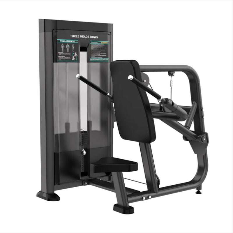 XYSFITNESS Commercial Seated Dip Machine (XYE615) XYSFITNESS বাণিজ্যিক সিটেড ডিপ মেশিন (XYE615)