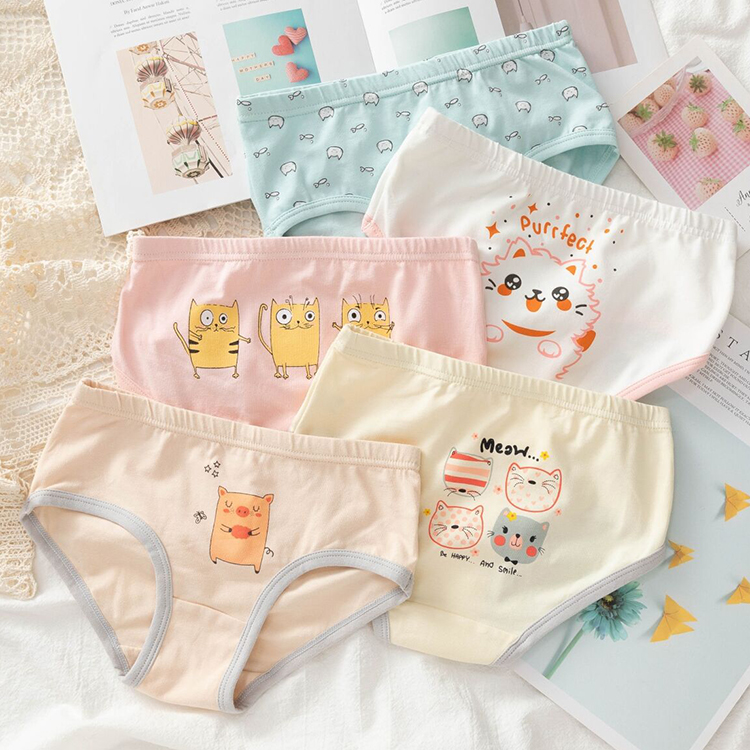 5 pcs in a pack girls briefs Underwear manufacturer preteen girl panty sets kids underwear set