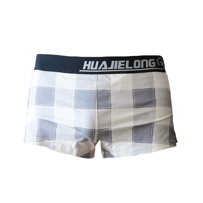 High Quality Lattice Mens Boxer Shorts Luxury Sexy Boxers Briefs Underwear