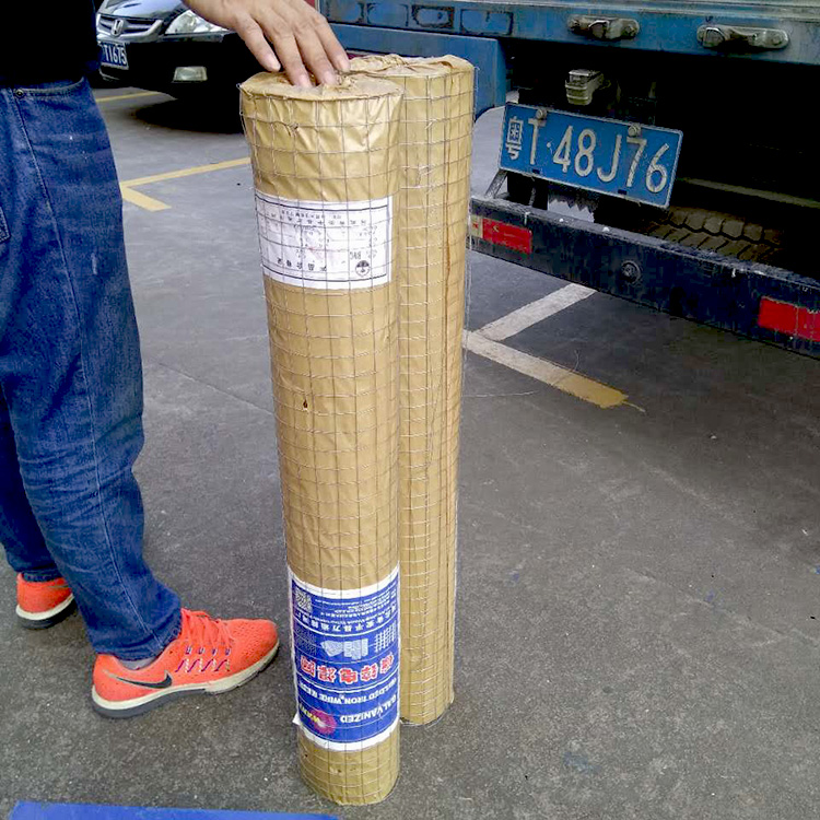 抹墙电焊网热镀锌电焊网实体工厂供应