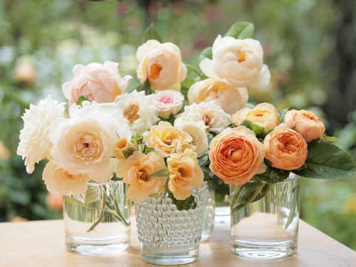 racimos de flores frescas