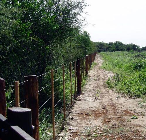 微信图片_20190322171659