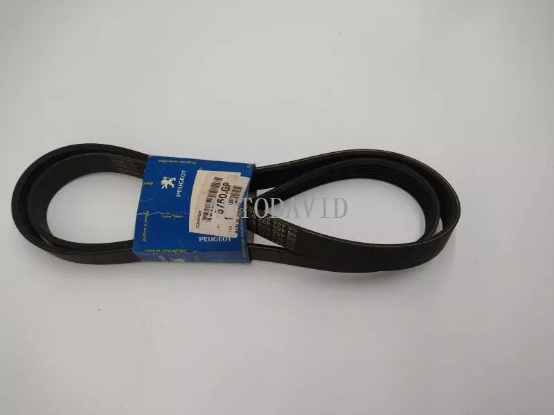 مروحة حزام عالية الجودة لبيجو 306/شريك OEM: 5750GP 5750Y6 6PK1388 1612160980 1635645380 9645583280 HS01-013-008
