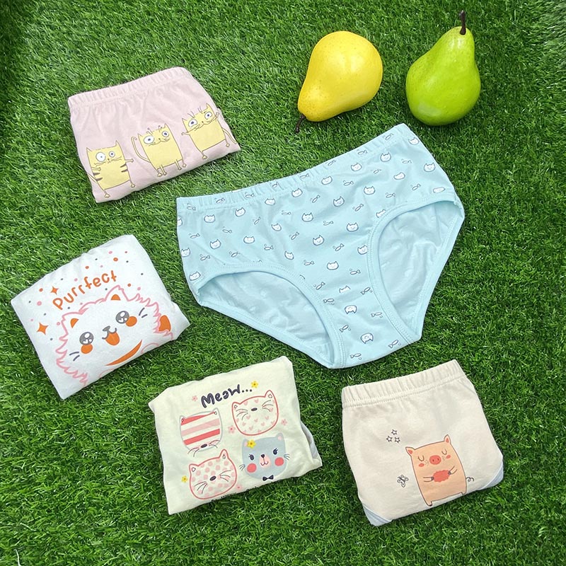 5 pcs in a pack girls briefs Underwear manufacturer preteen girl panty sets kids underwear set