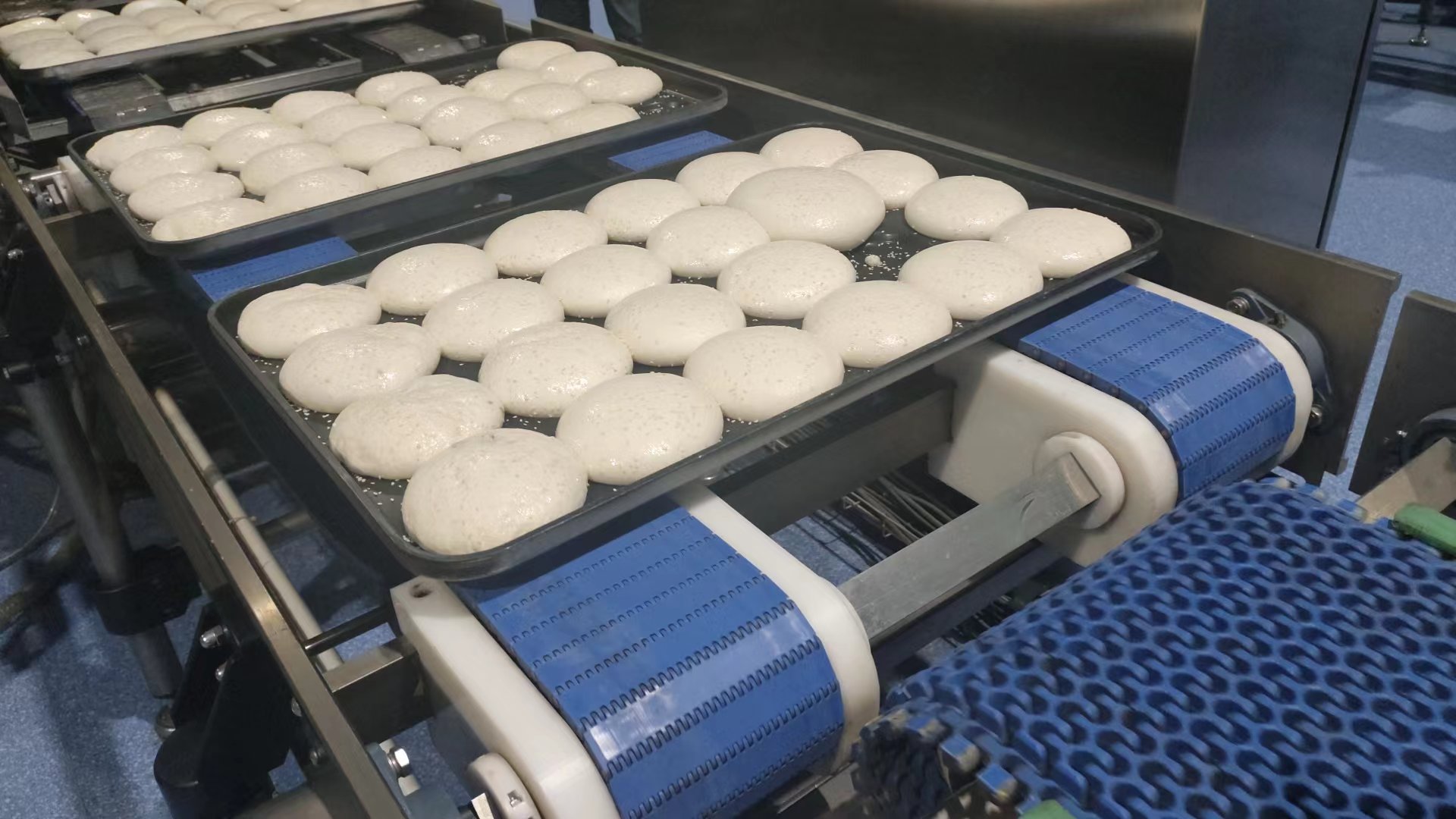 bakery fermentation room bakery fermentation room