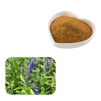 Carnosic acid price -ZHENYIBIO