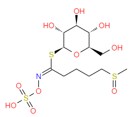 buy broccoli sulforaphane powder-zhenyibio