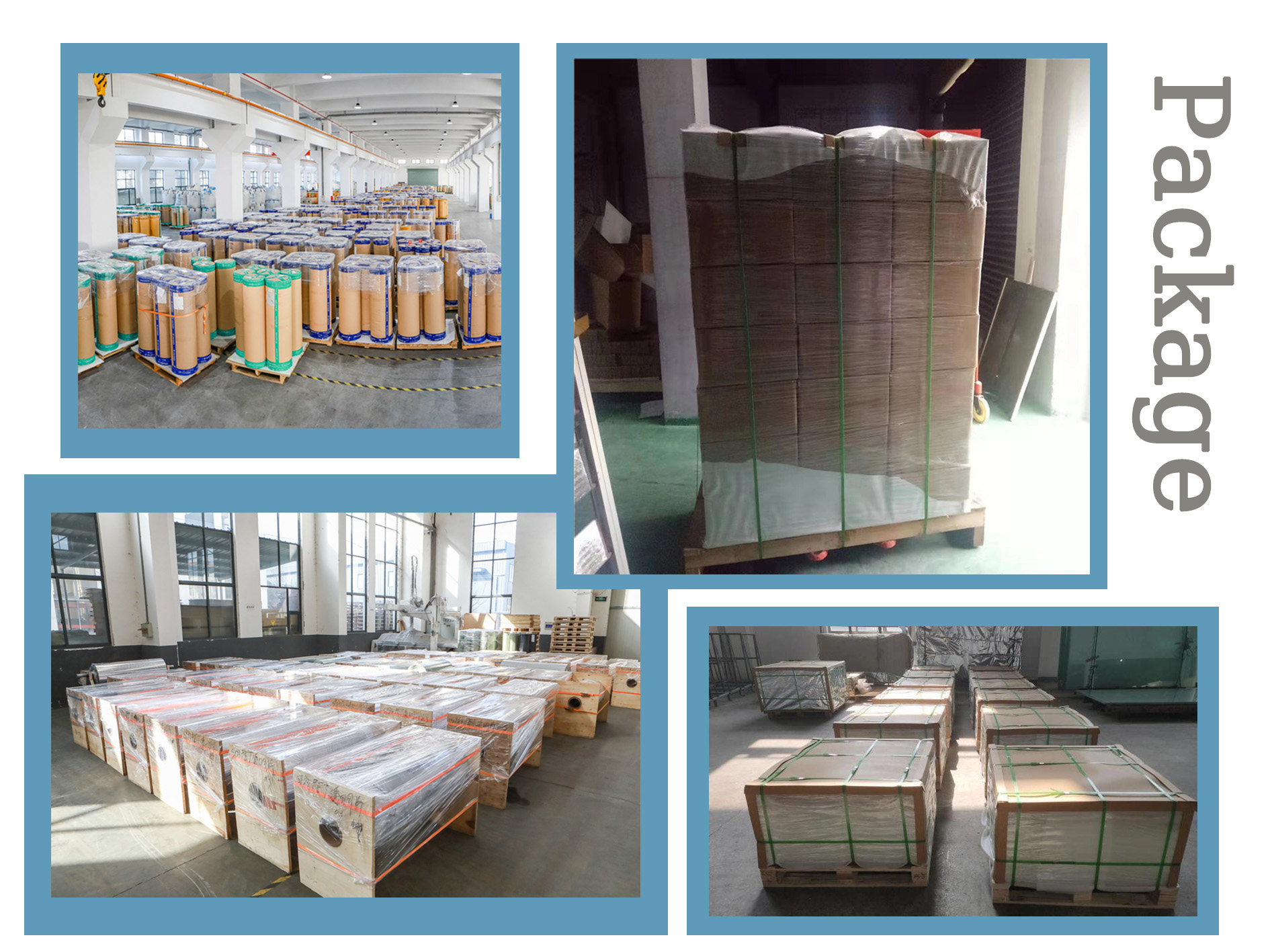 PET Sheet Roll Export Package حزمة تصدير لفة ورقة PET