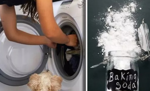 Can You Machine Wash Rubber Sheets Kan du maskinvaske gummiplader