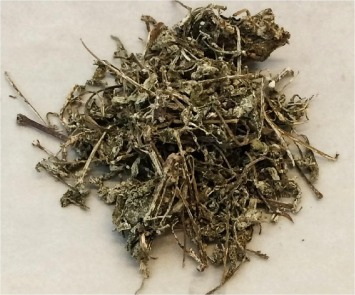 Vine Tea Extract Wijnstokthee-extract