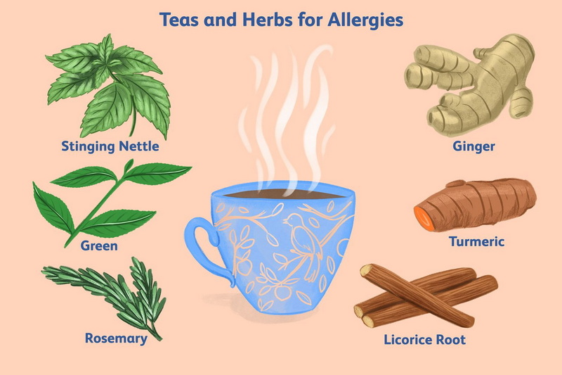 Allergic To Green Tea Extract_3 אלרגי לתמצית תה ירוק_3