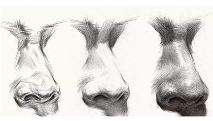 A Beginner’s Guide to Sketch Drawing：Nose