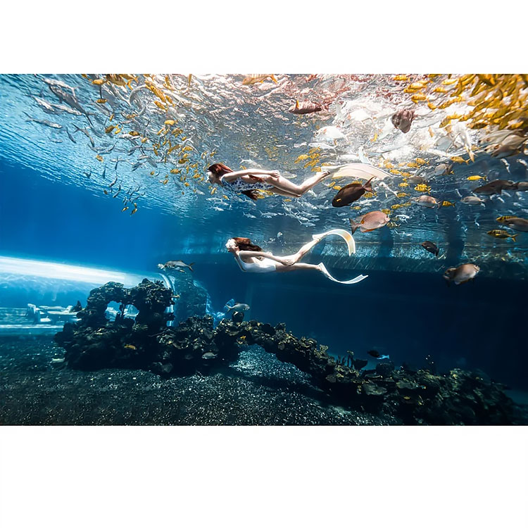 acrylic aquarium एक्रिलिक मछलीघर