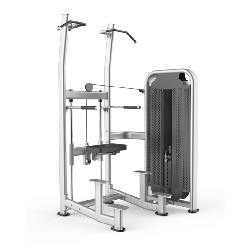 Assisted Chin/Dip Machine Màquina de barbeta/immersió assistida