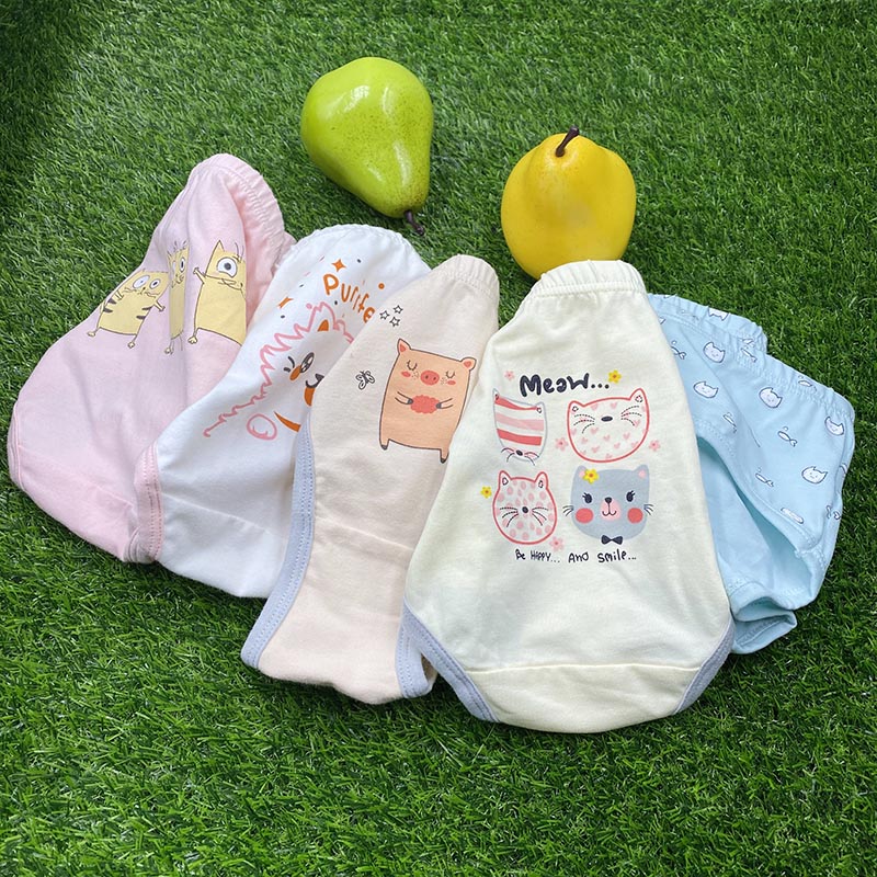 5 pcs in a pack girls briefs Underwear manufacturer preteen girl panty sets kids underwear set