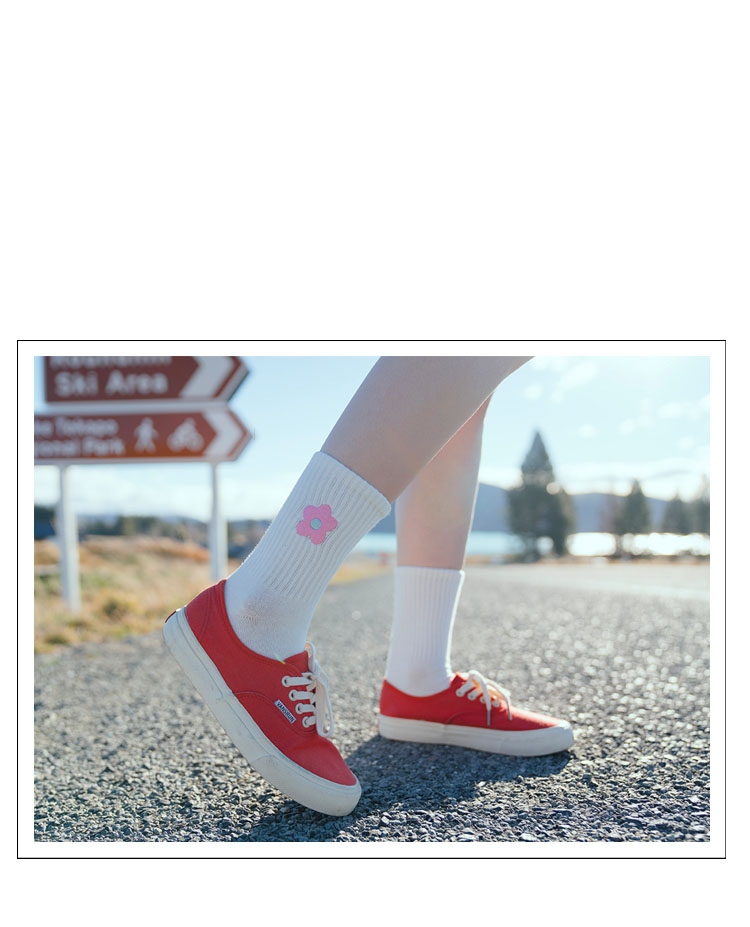 women stocking popular autumn and winter Korea lovely INS cotton assorted color stockings socks