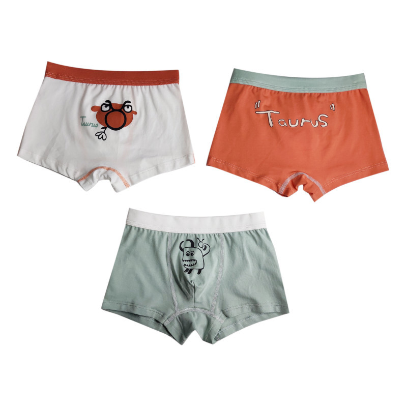 Cotton New Design Animation Soft Young Boys Wholesale Breathable Boxer Briefs Kids Underwear