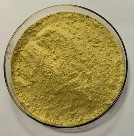 buy ginger extract - ZHENYIBIO