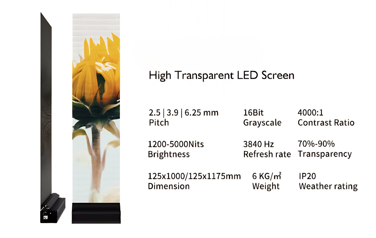 hight transparent led screen2 شاشة LED شفافة عالية الجودة2