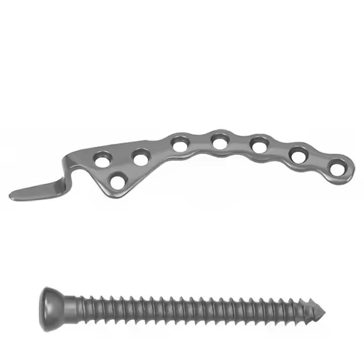 Clavicle Claw Plate-1 Clavícula Garra Placa-1 ukaxa mä juk’a pachanakwa lurasi