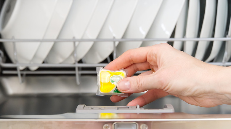 食器洗い機のポッドのプラスチックはどうなるか