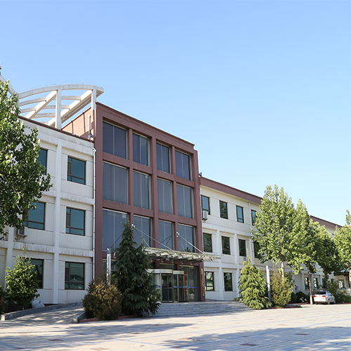 安平金德隆网业有限公司