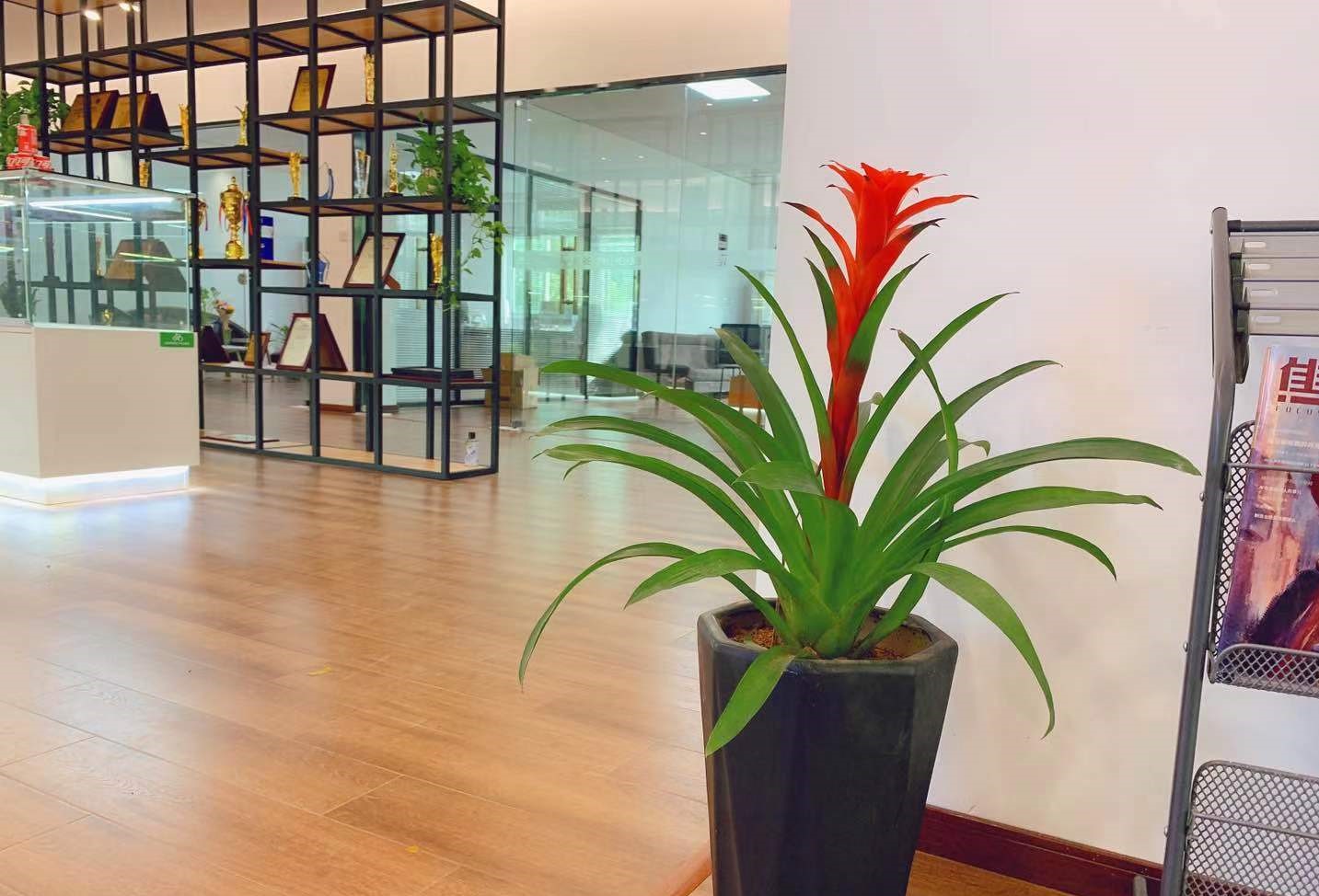 company Unternehmen