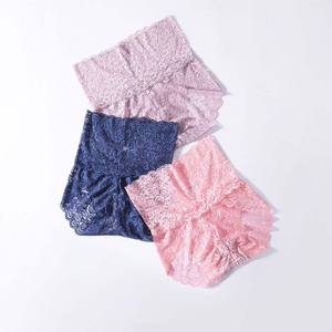 Manufactory High Quality Panties Women Sexy lace Pants large size transparent briefs Underwear Proof Briefs High Waist Female Panties
