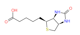 buy biotin vitamin h serum manufacturer-zhenyibio