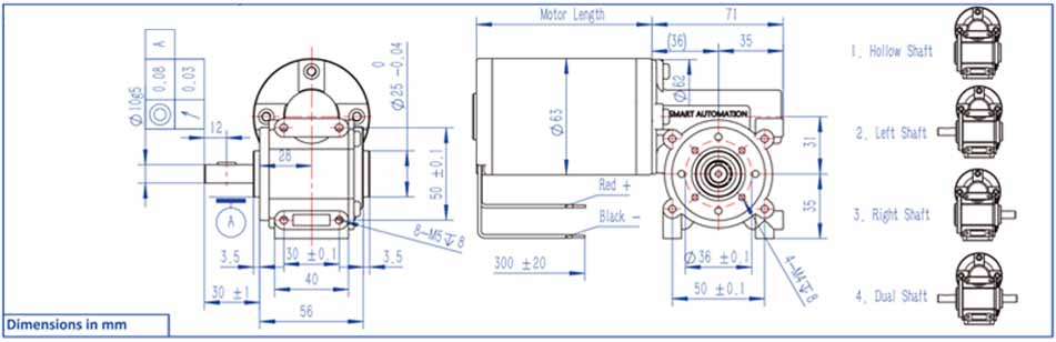 63 ZYT Brushed DC Motor with Worm Gearbox 63 ZYT ব্রাশড ডিসি মোটর ওয়ার্ম গিয়ারবক্স সহ