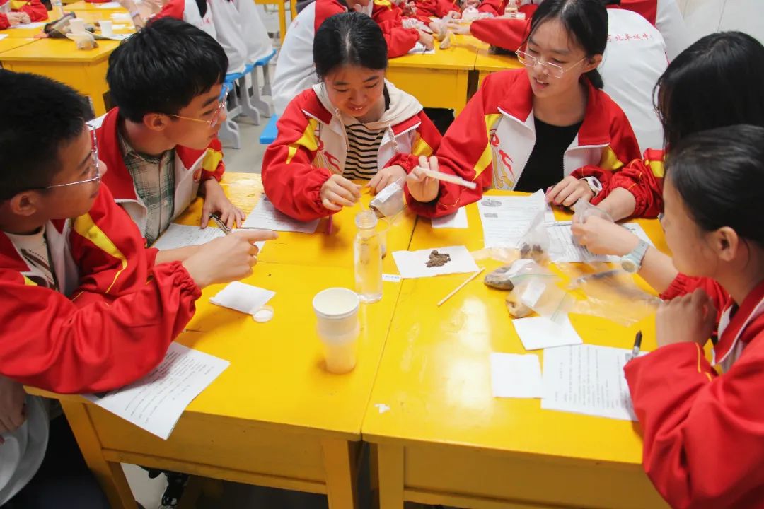 微信图片_20241210150011