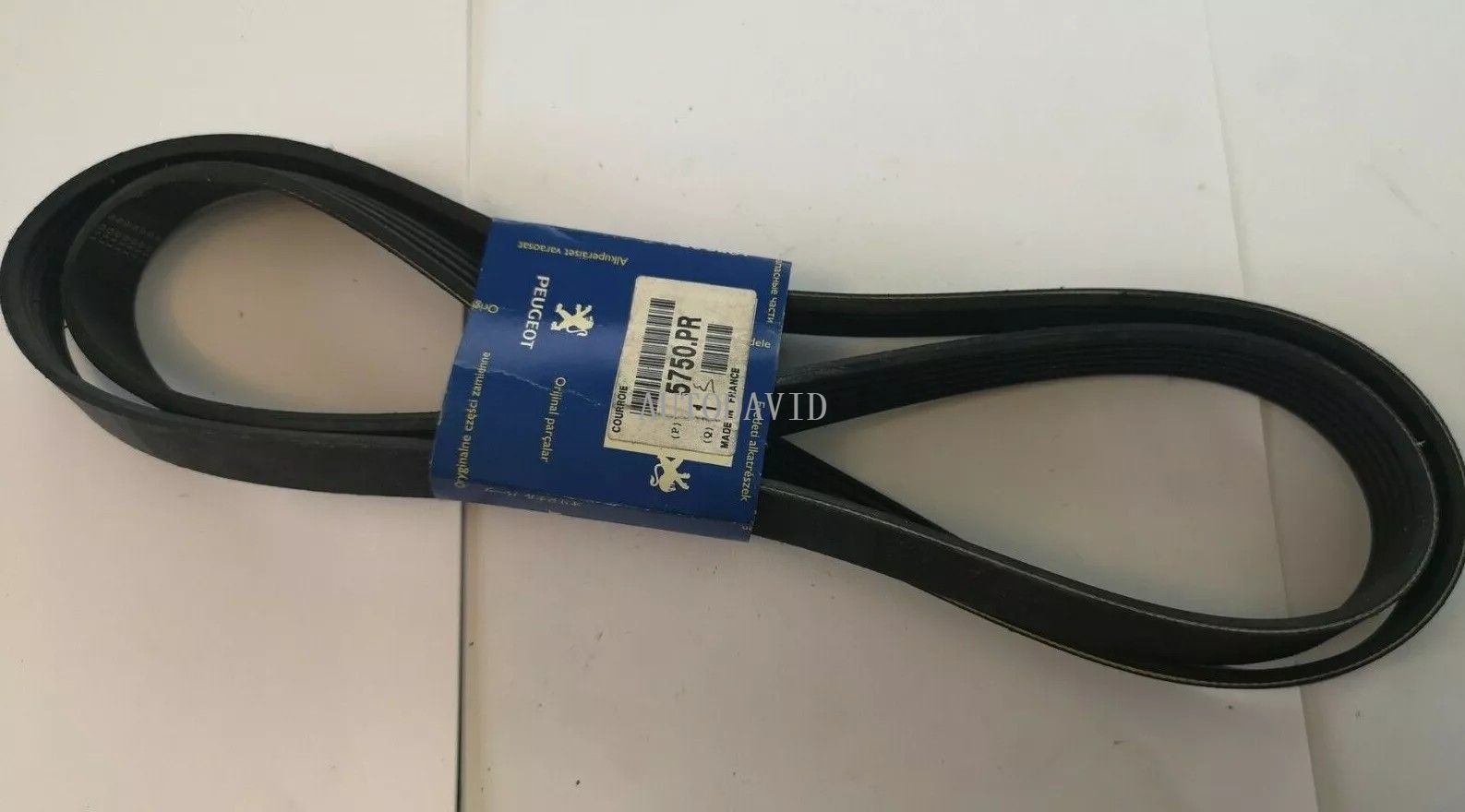 مروحة حزام عالية الجودة لمحرك بيجو 206 TU5JP4 TU3JP OEM: 5750YE/PR/Y4/YE/T3/XA/Z2/Z3/ZN 9638007780 9651255780 HS01-017-011