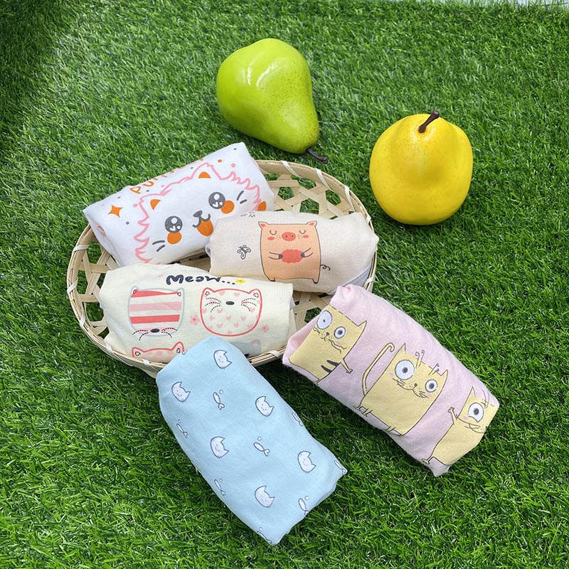 5 pcs in a pack girls briefs Underwear manufacturer preteen girl panty sets kids underwear set