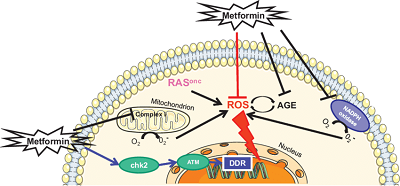 Epitalon price -ZHENYIBIO