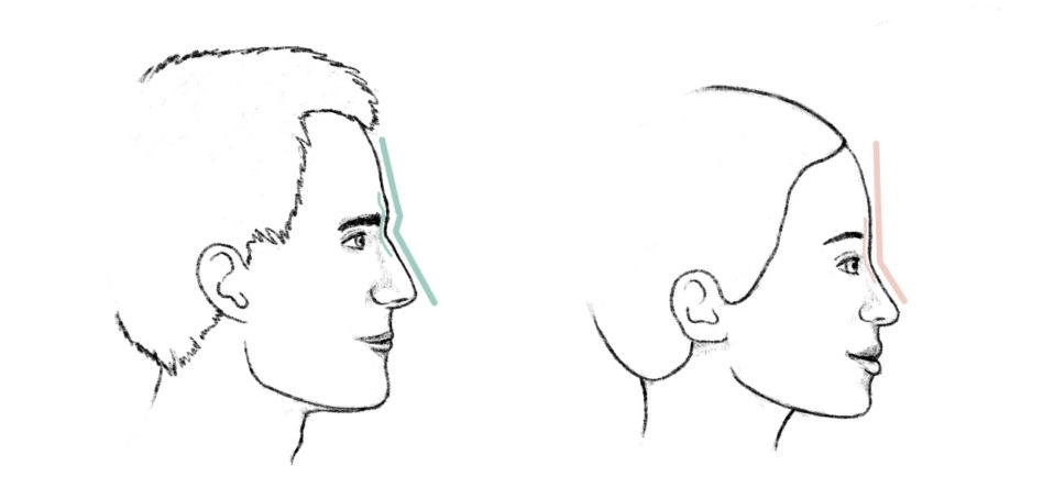 Gender characteristics of the nose