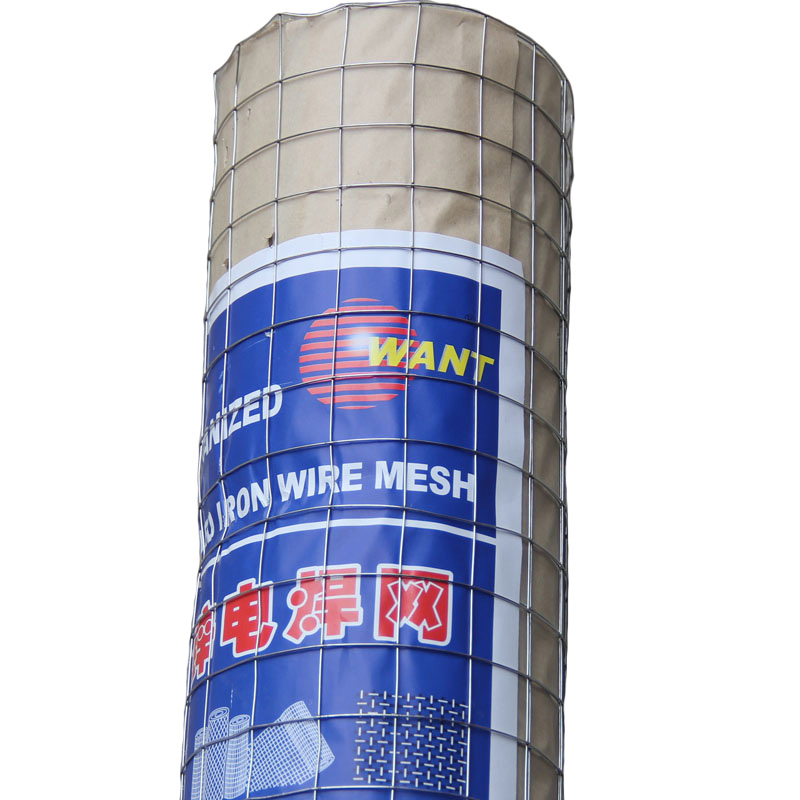 抹墙电焊网热镀锌电焊网实体工厂供应