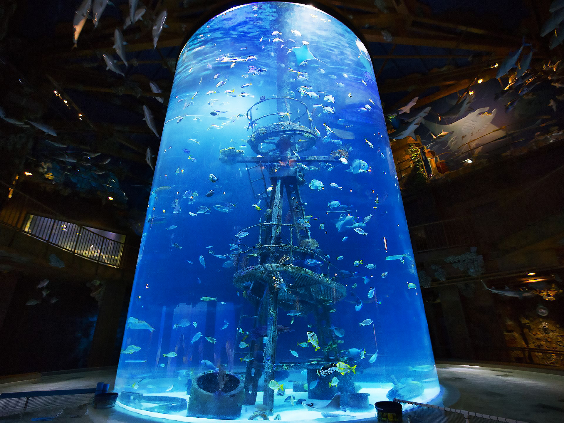 acrylic aquarium aquarium akua
