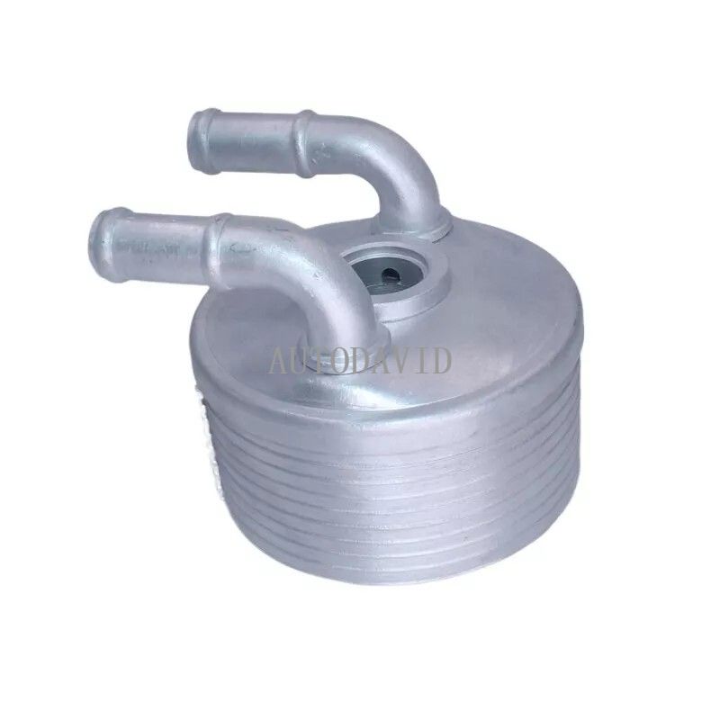 مبرد الزيت لسيتروين C4 II DS DS 5 بيجو 308 07-18,508,RCZ. تصنيع المعدات الأصلية: 227571 HS30-300-006 {8 طبقة}