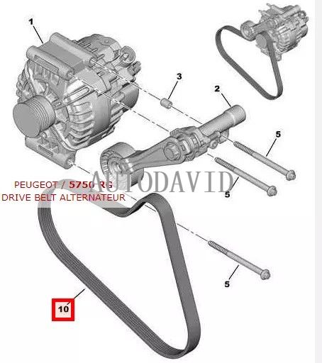 مروحة حزام عالية الجودة لبيجو 208 308CC SW 3008 RCZ 508 سيتروين C4 C4L DS OEM: 5750RG V756678980 6PK905 11287566789 / 11287571377 / 038903137 / 038903137G HS01-017-0 01